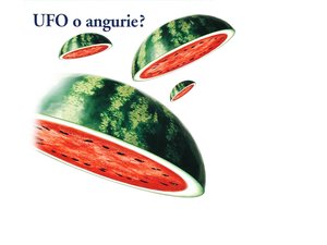 康平縣種苗有限責任公司